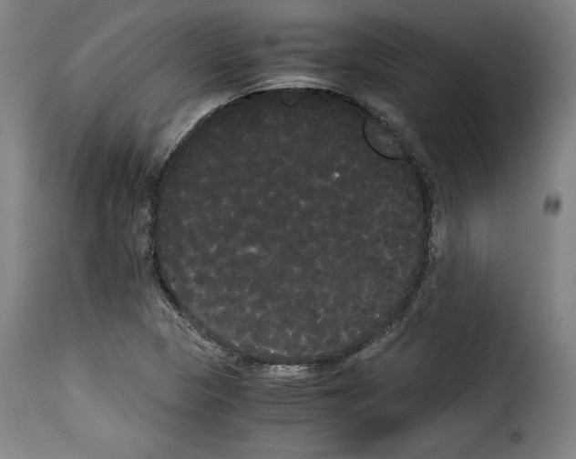 X0000114191313200911200927