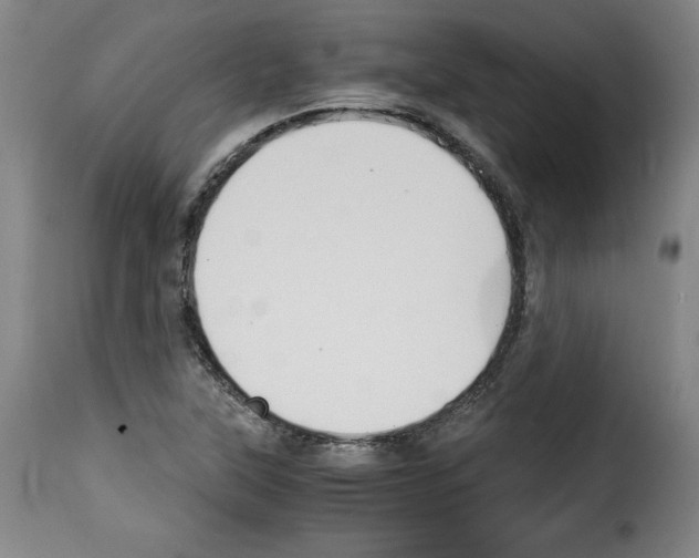 X0000114191315200911200927