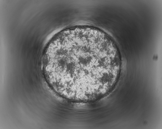 X0000114191317200911200927