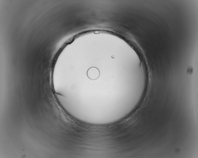 X0000114191320200911200927