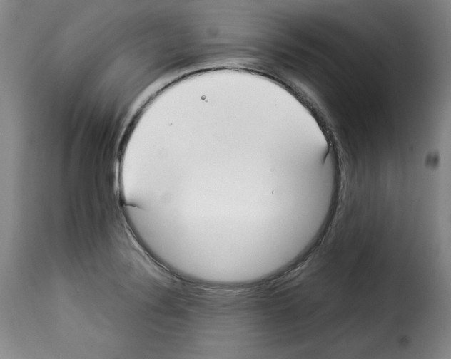 X0000114191324200911200927