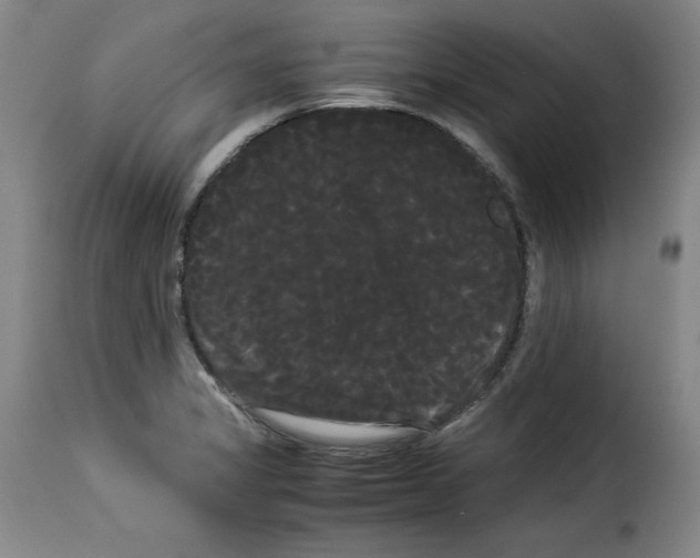 X0000114191325200911200927