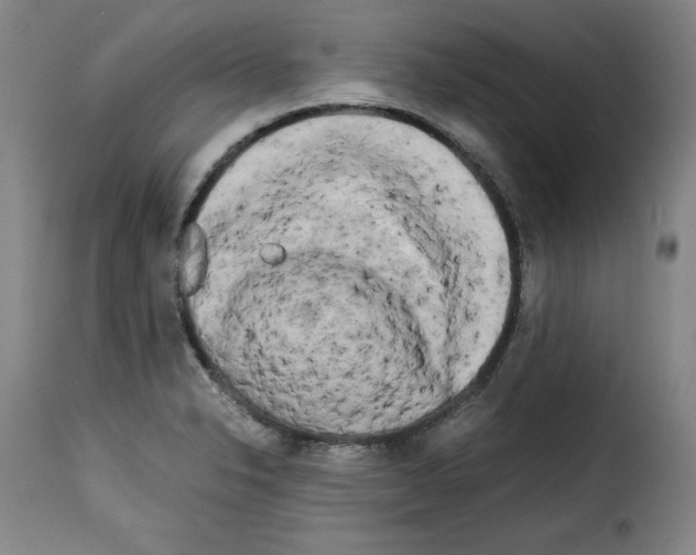 X0000114191326200911200927