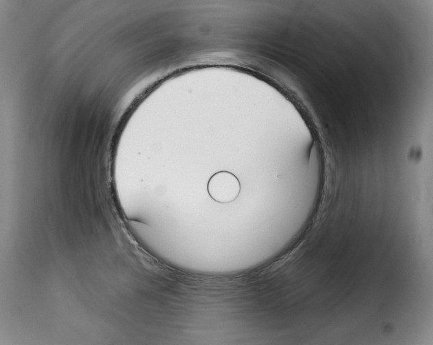 X0000114191328200911200927