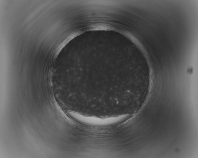 X0000114191329200911200927