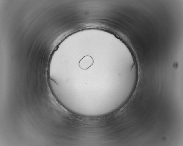 X0000114191330200911200927