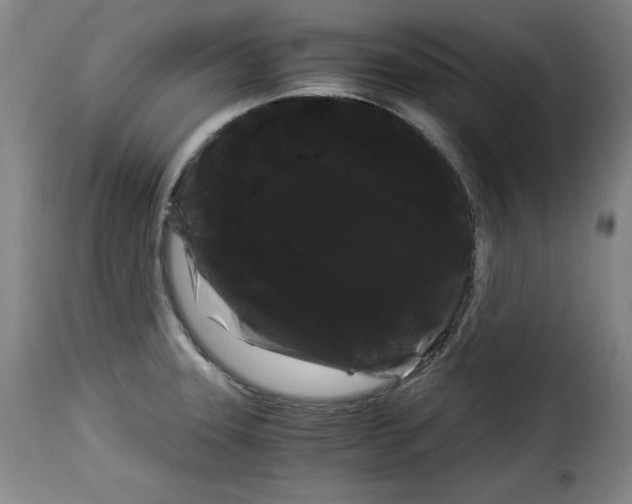 X0000114191331200911200927