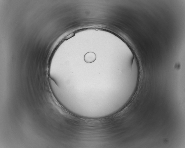 X0000114191332200911200927