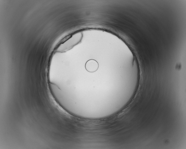 X0000114191334200911200927