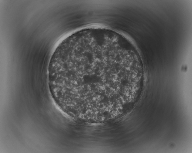 X0000114191335200911200927