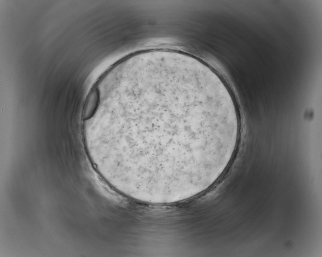 X0000114191336200911200927