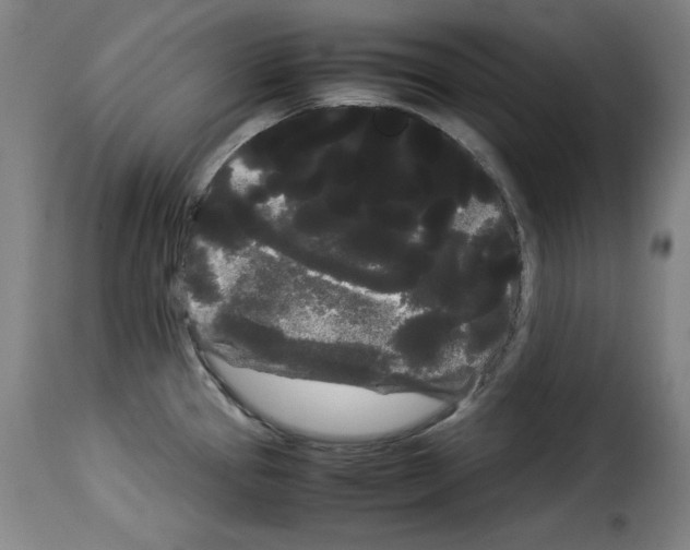 X0000114191337200911200927