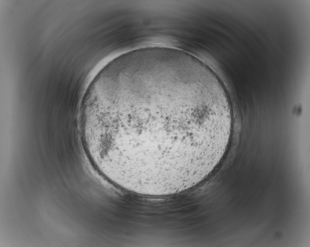 X0000114191339200911200927