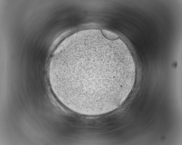 X0000114191341200911200927