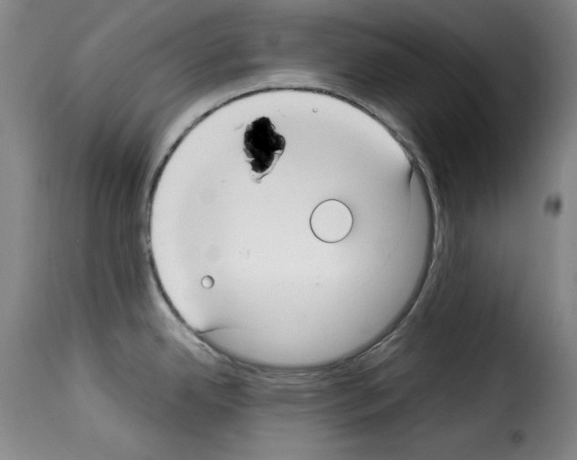 X0000114191342200911200927