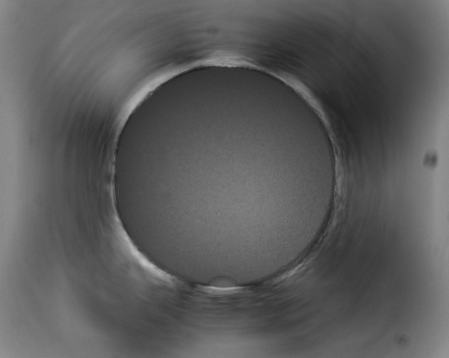 X0000114191343200911200928