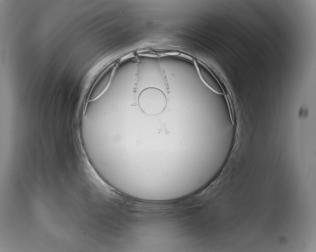 X0000114191344200911200928