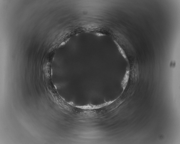 X0000114191346200911200927