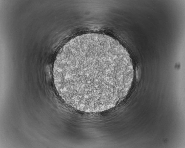 X0000114191347200911200927