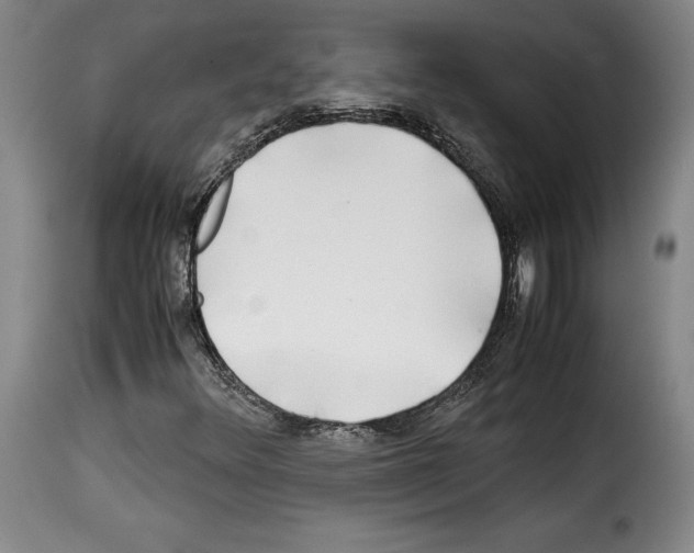 X0000114191348200911200927