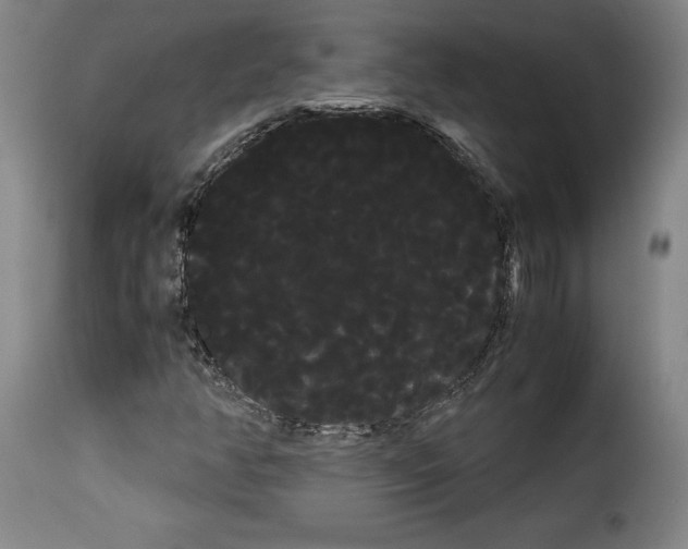 X0000114191350200911200927