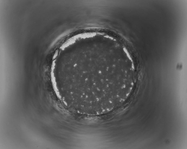 X0000114191351200911200927