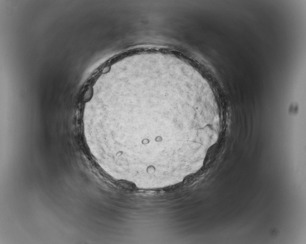 X0000114191352200911200927