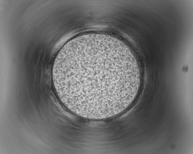 X0000114191354200911200927