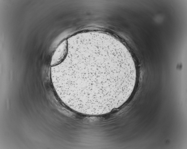 X0000114191355200911200927