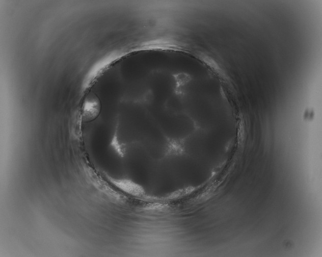 X0000114191358200911200927