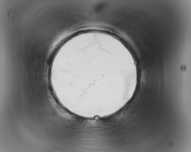 X0000114191360200911200926