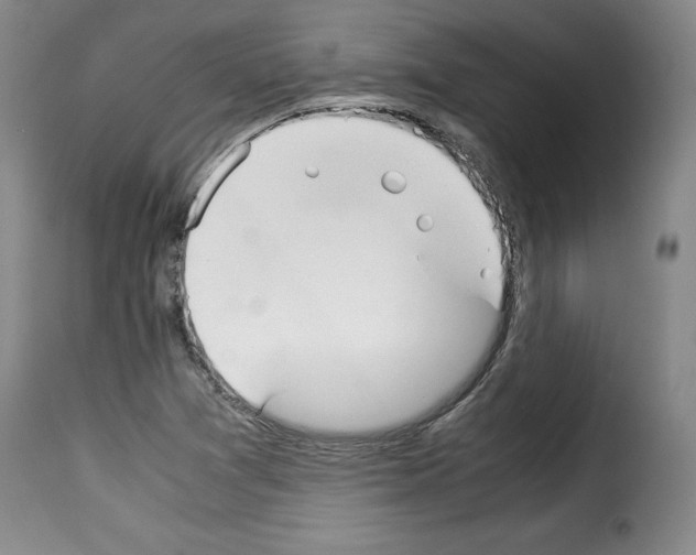 X0000114191361200911200926