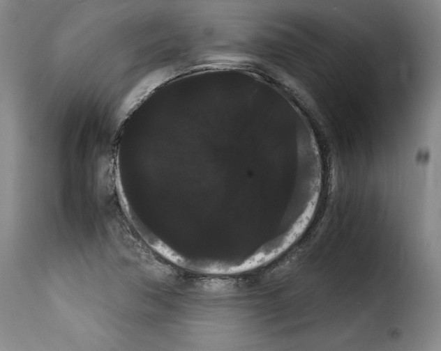 X0000114191362200911200926