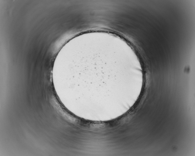 X0000114191363200911200926