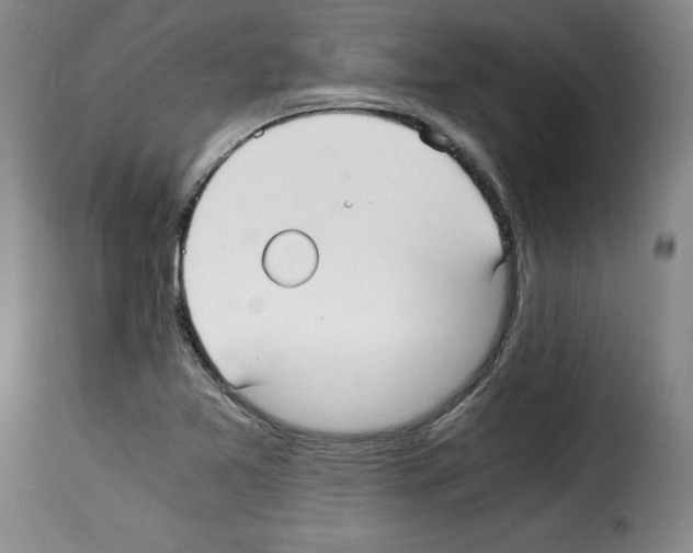 X0000114191365200911200926