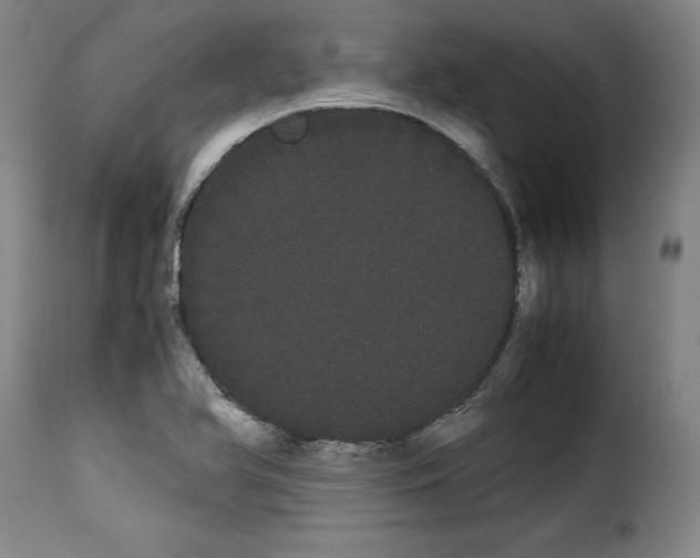 X0000114191366200911200926