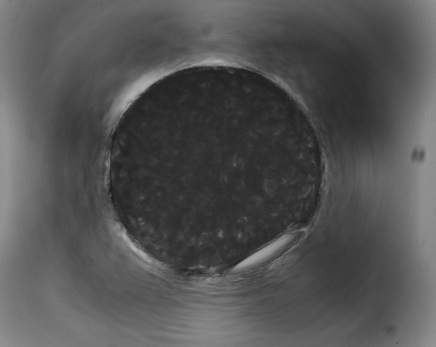 X0000114191367200911200926