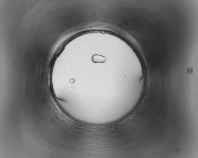 X0000114191368200911200926