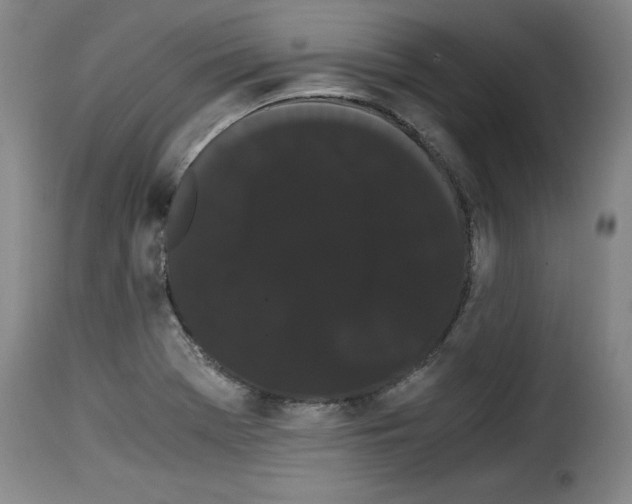 X0000114191369200911200926