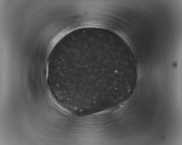 X0000114191371200911200926