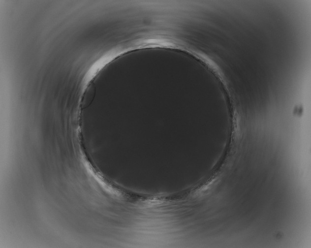 X0000114191373200911200926