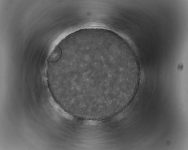 X0000114191374200911200926