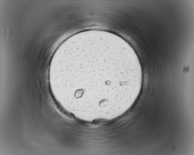 X0000114191375200911200926