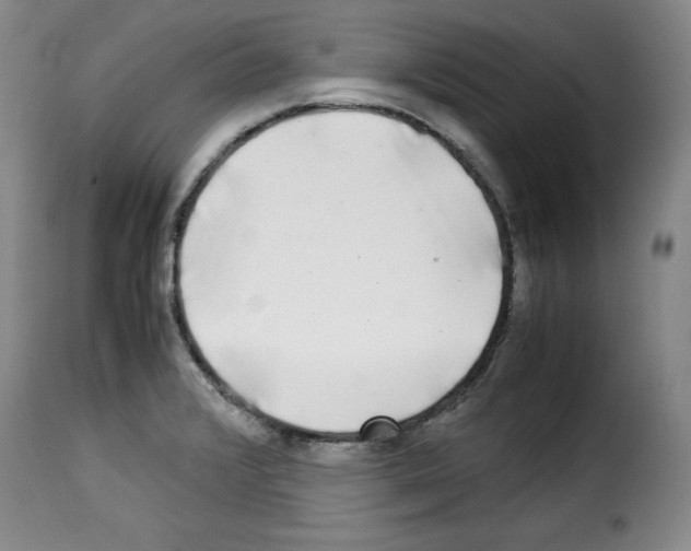 X0000114191376200911200926