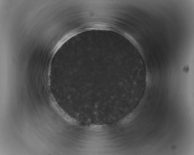 X0000114191378200911200926