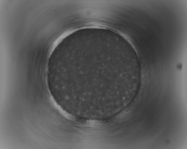 X0000114191379200911200926