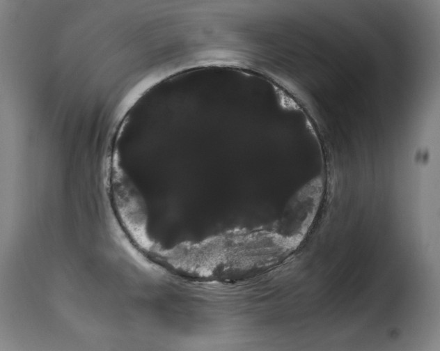 X0000114191383200911200926