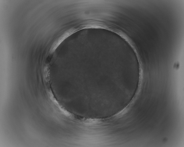 X0000114191385200911200926