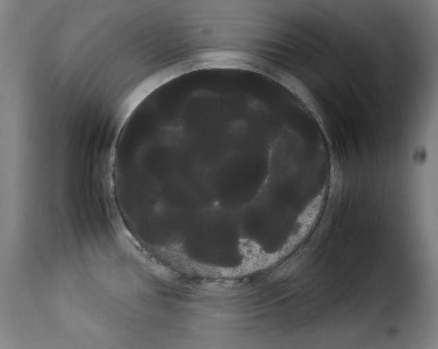 X0000114191386200911200926