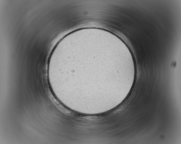 X0000114191388200911200926